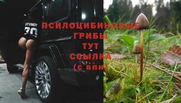 MDMA Лиски